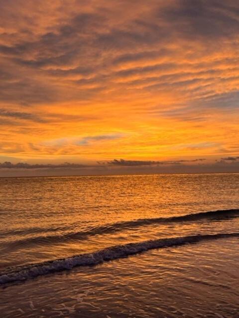 فيلا Hiddengem In Charming Sarasota, Florida المظهر الخارجي الصورة