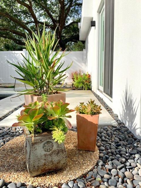 فيلا Hiddengem In Charming Sarasota, Florida المظهر الخارجي الصورة
