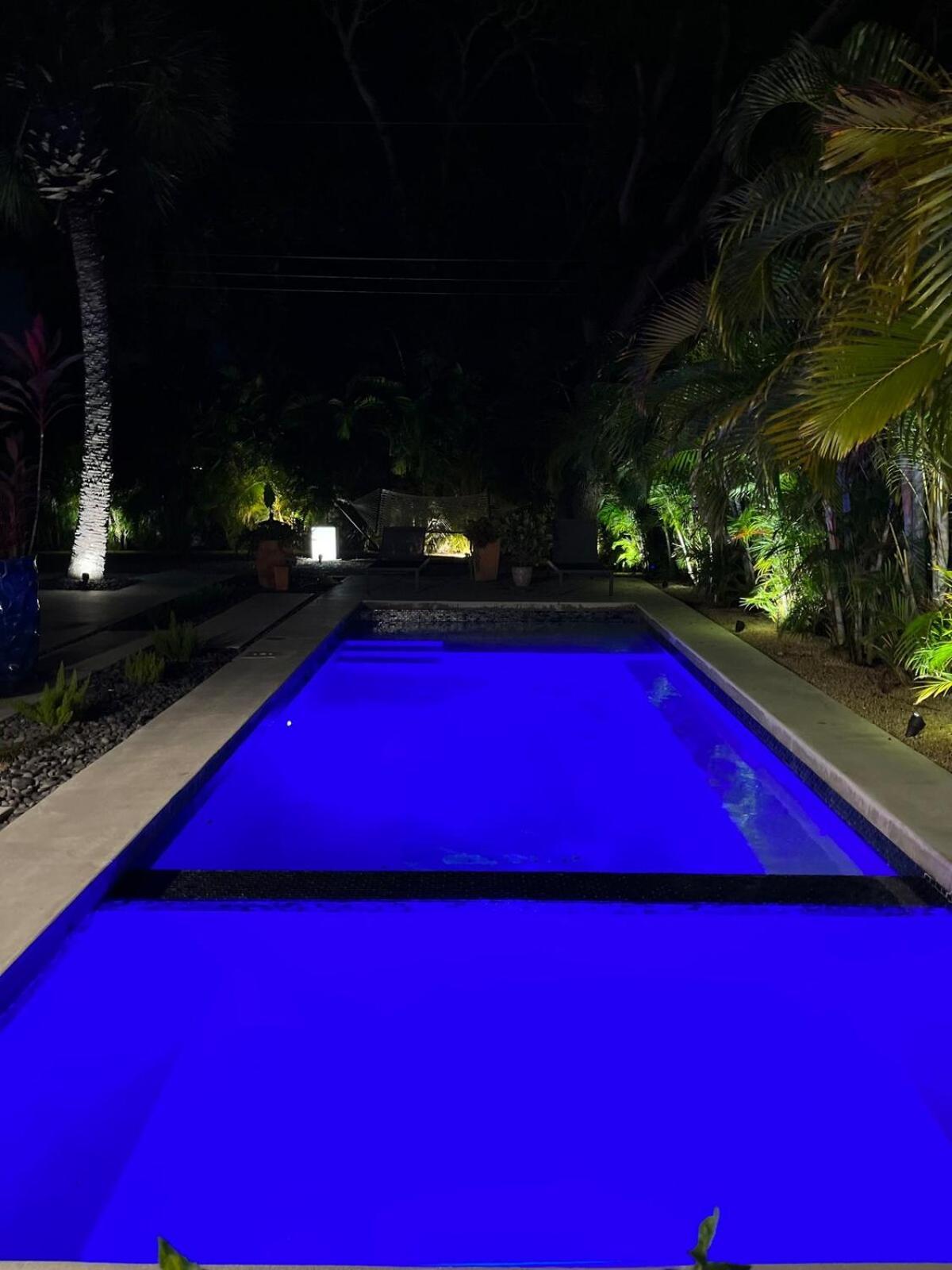 فيلا Hiddengem In Charming Sarasota, Florida المظهر الخارجي الصورة